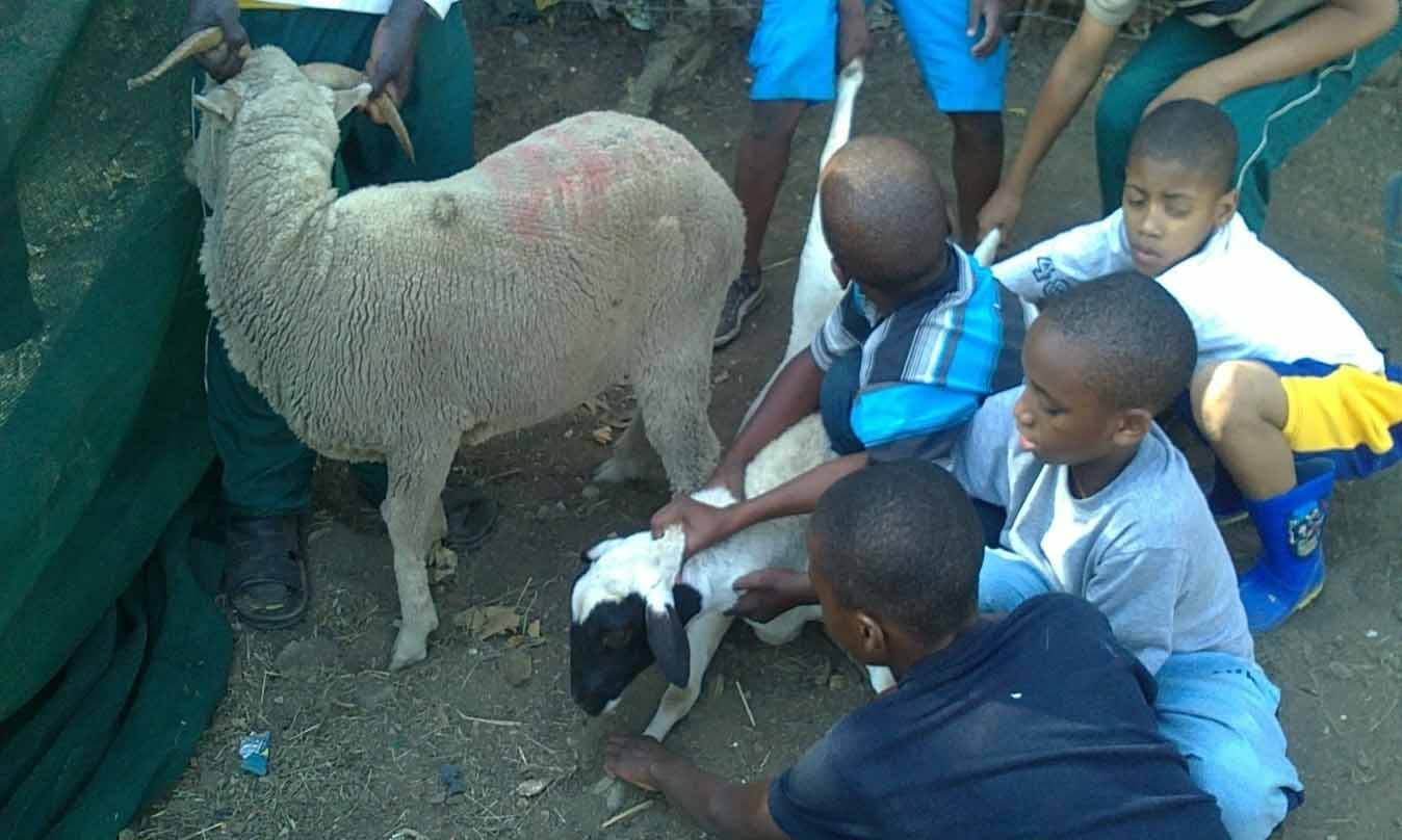 Qurbani at IIDM